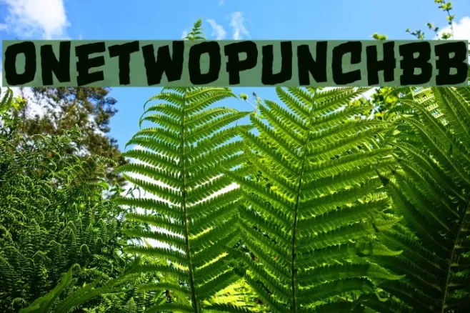 OneTwoPunchBB Example 1
