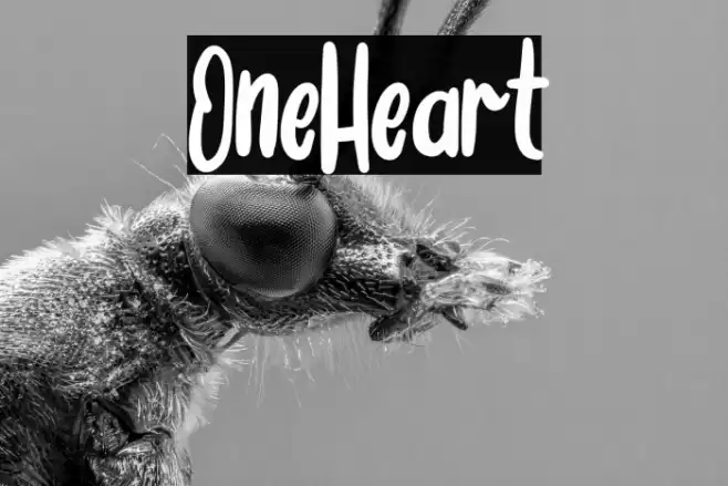 One_Heart Font examples