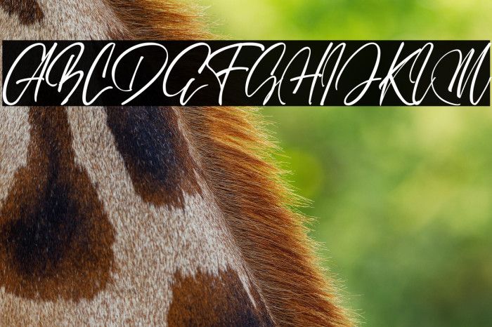 Onebillion Script Example 3