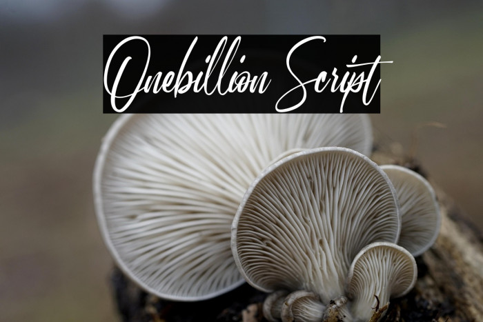 Onebillion Script Example 2