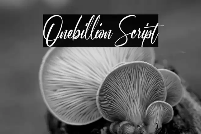 Onebillion Script Font examples