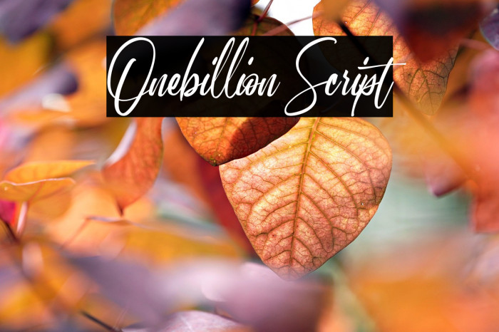 Onebillion Script Example 3