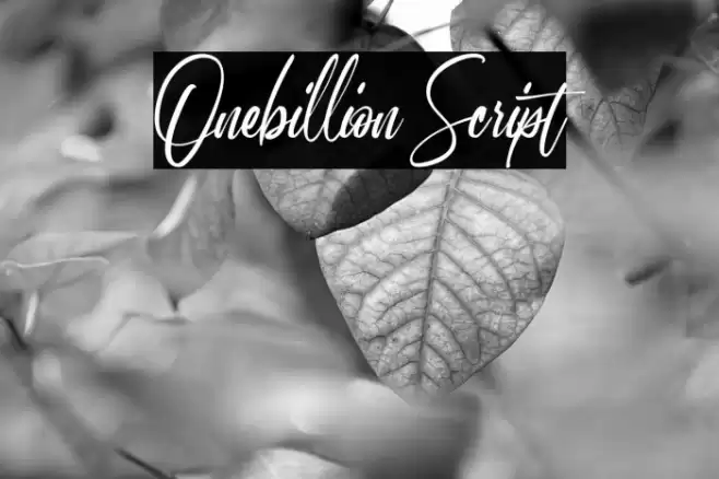 Onebillion Script Font examples
