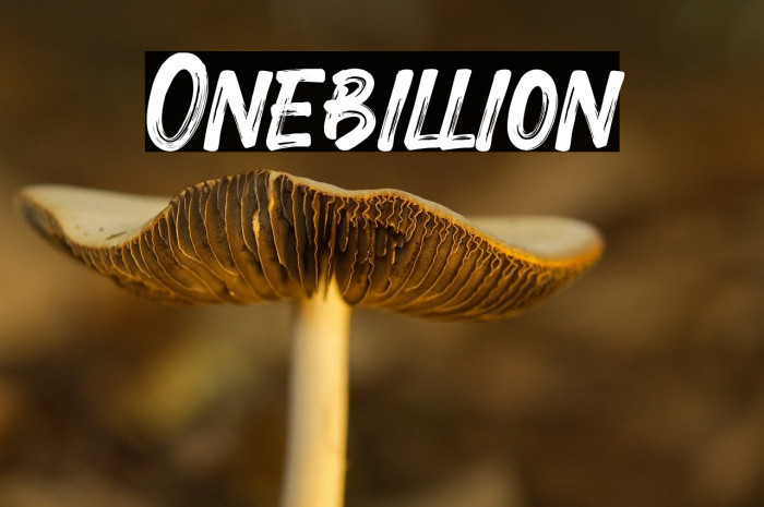 Onebillion Example 1