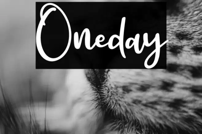 Oneday خط examples