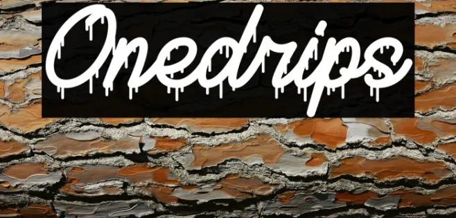 Onedrips Example 2