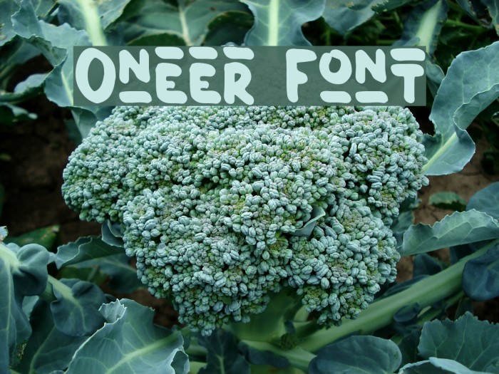 Oneer Font examples