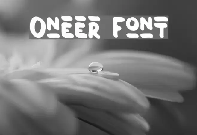 Oneer Font examples