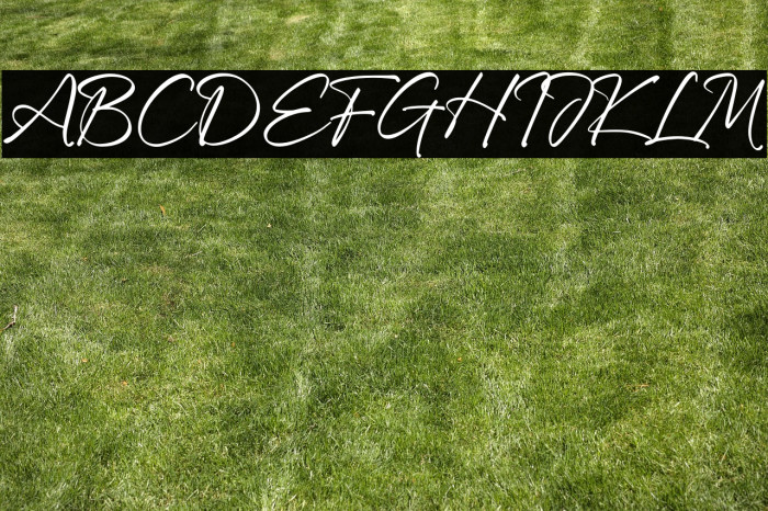 Onefineday Example 3