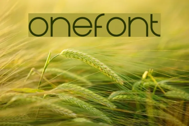 Onefont Example 1