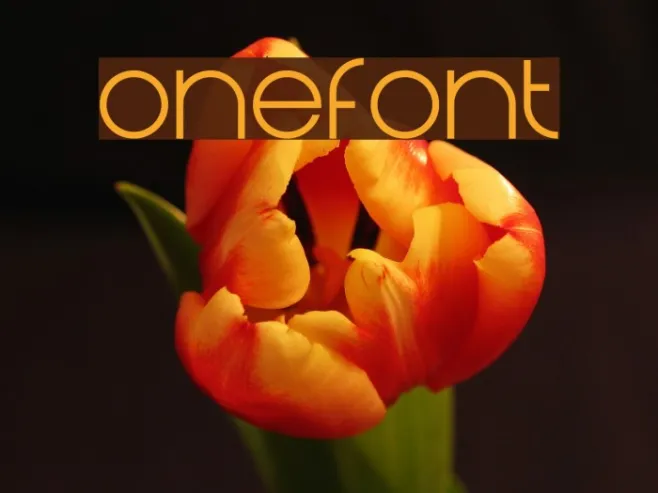 Onefont Example 3
