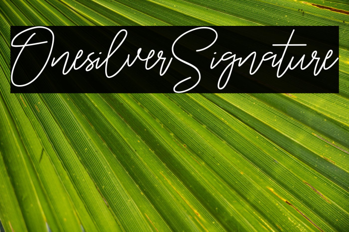 OnesilverSignature Example 1