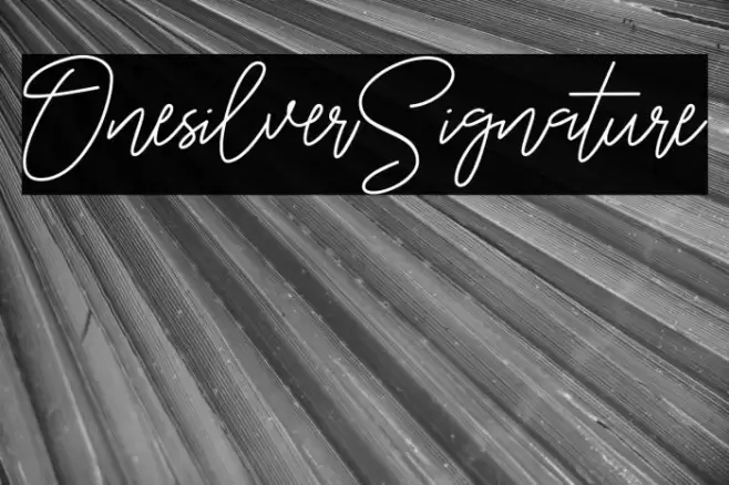 OnesilverSignature Font examples