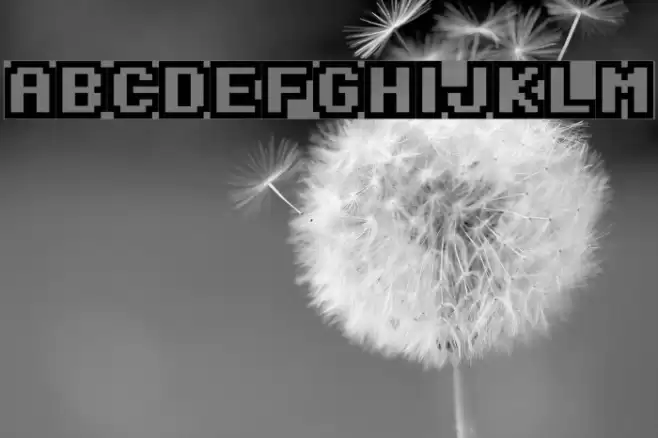 Onesize Reverse Font examples