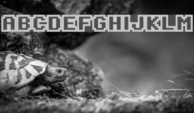 Onesize Reverse Font examples