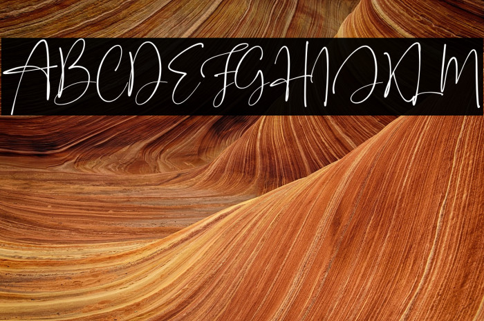 Onesty Signature Example 1