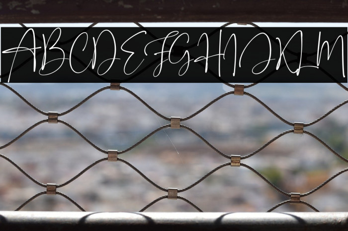 Onesty Signature Example 2