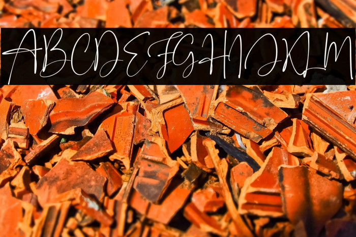 Onesty Signature Example 3