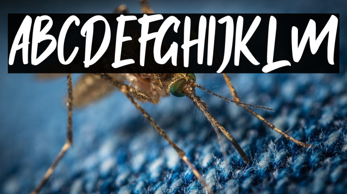 Onether Caratteri examples