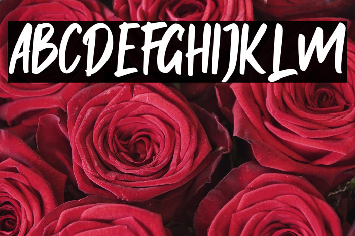 Onether Caratteri examples