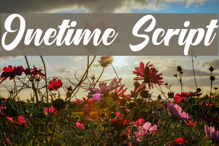 Onetime Script Example 2