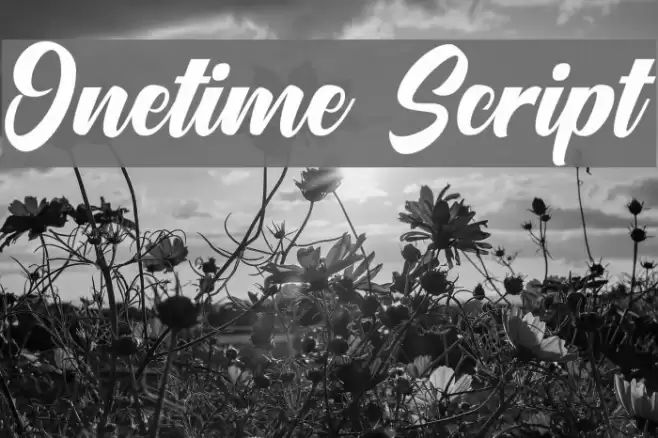 Onetime Script Font examples