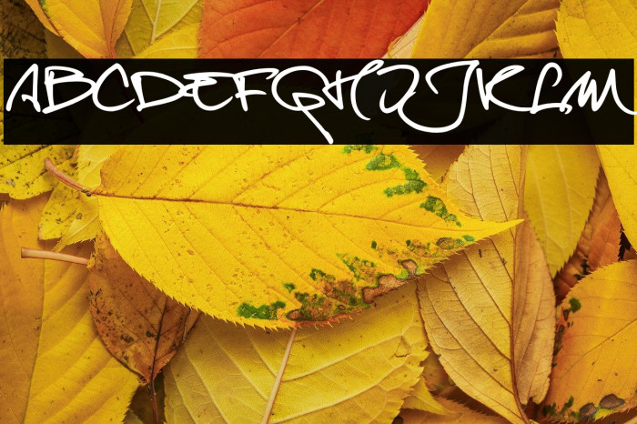 OnetrickTony Example 1