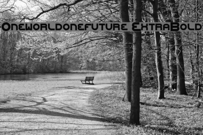 Oneworldonefuture ExtraBold Font examples