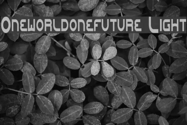 Oneworldonefuture Light Font examples