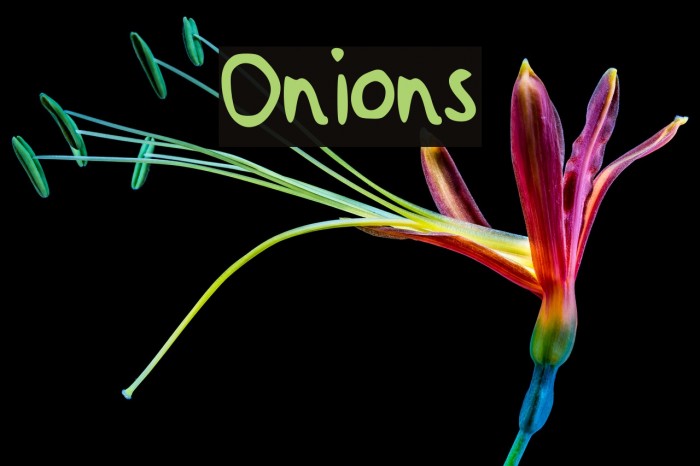 Onions Font examples