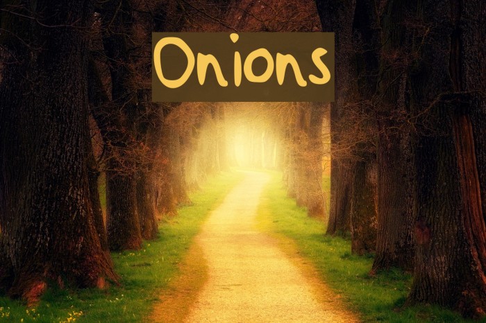 Onions Font examples