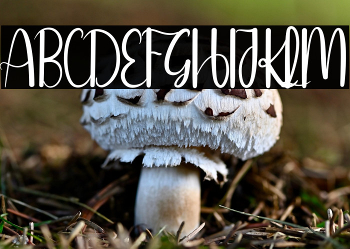 Online Signature Example 1