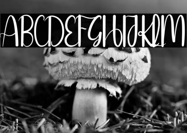 Online Signature Fuentes examples