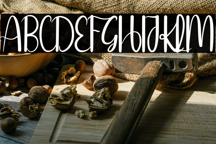 Online Signature Example 2