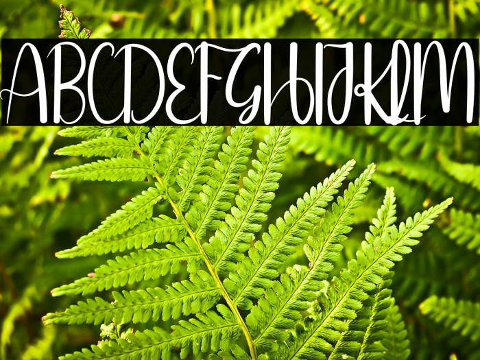 Online Signature Example 3