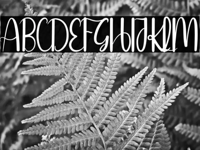 Online Signature Fuentes examples