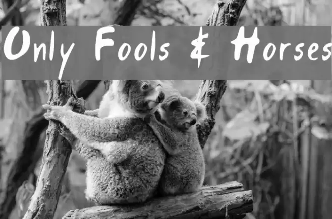Only Fools & Horses Polices examples
