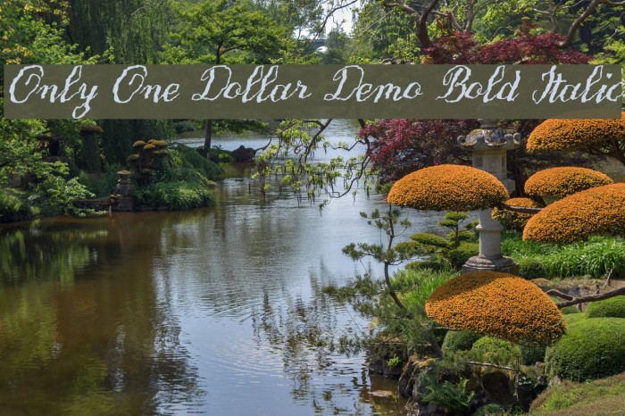 Only One Dollar Demo Bold Italic Font examples
