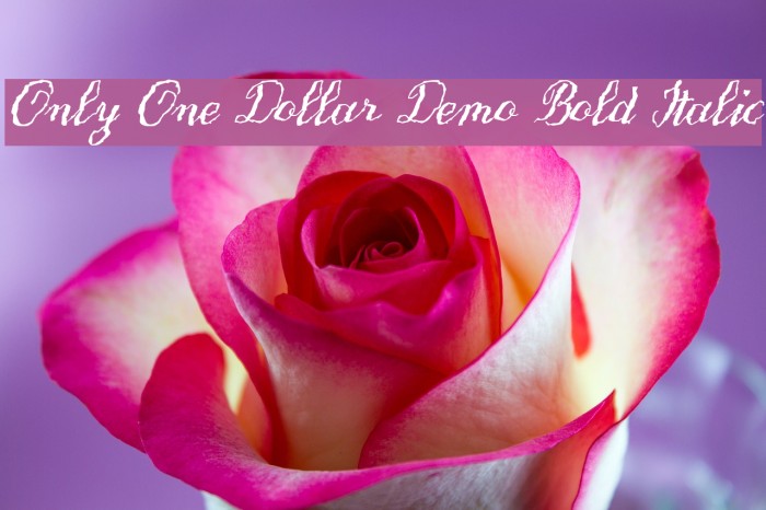 Only One Dollar Demo Bold Italic Font examples