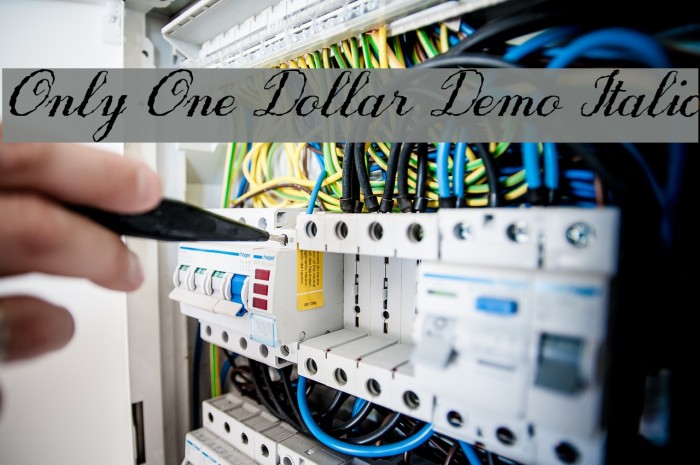 Only One Dollar Demo Italic Font examples