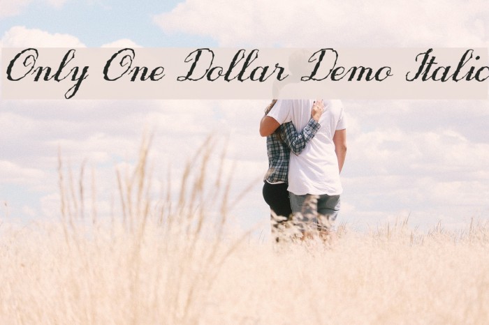 Only One Dollar Demo Italic Font examples