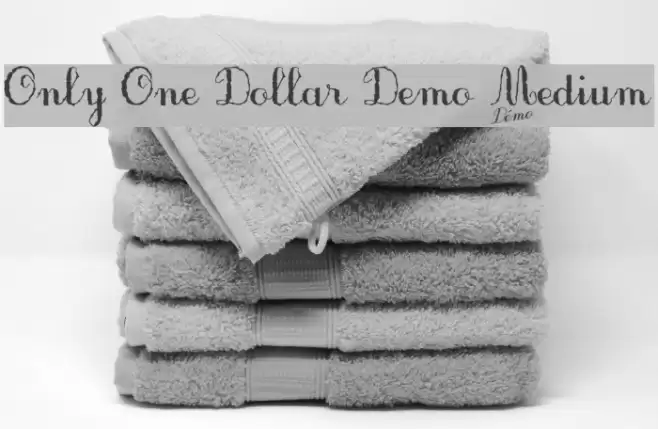 Only One Dollar Demo Medium Font examples