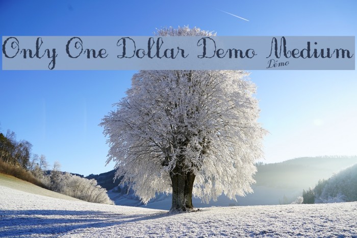 Only One Dollar Demo Medium Font examples