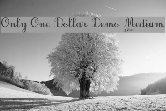 Only One Dollar Demo Medium Font examples