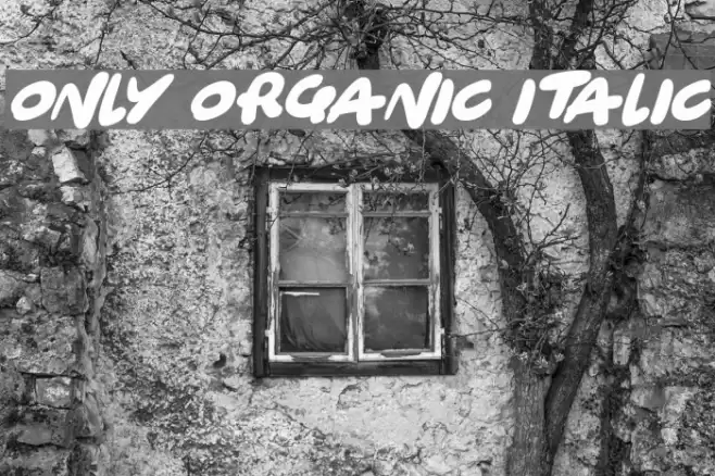 Only Organic Italic Font examples