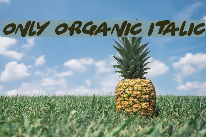 Only Organic Italic Font examples