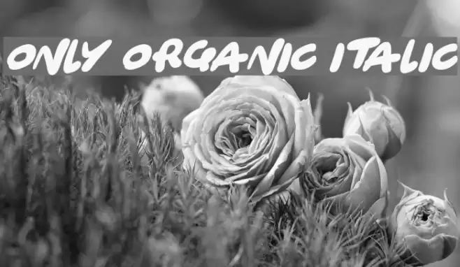 Only Organic Italic Font examples