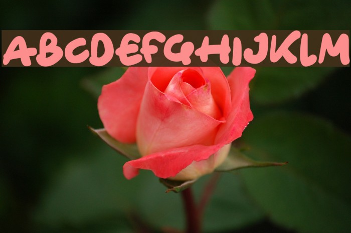 Only Organic Font examples