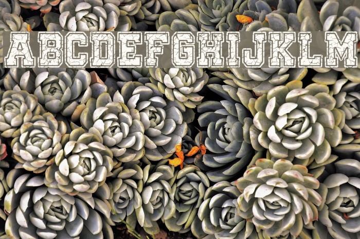 Only The Strong Example 1