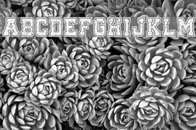 Only The Strong Font examples